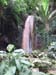 Tour_Waterfall_1
