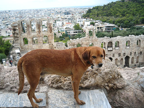 8-Athens05