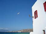 6-Mykonos13