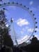 01-LondonEye